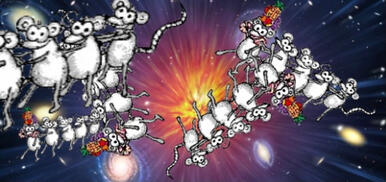 conga rats in the universe